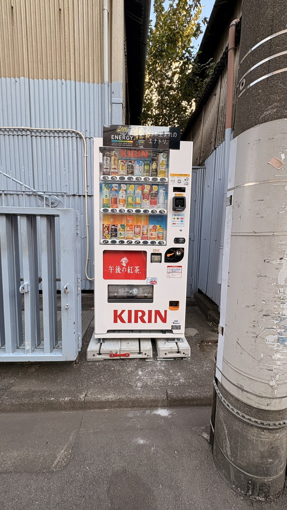 自販機を設置しました！